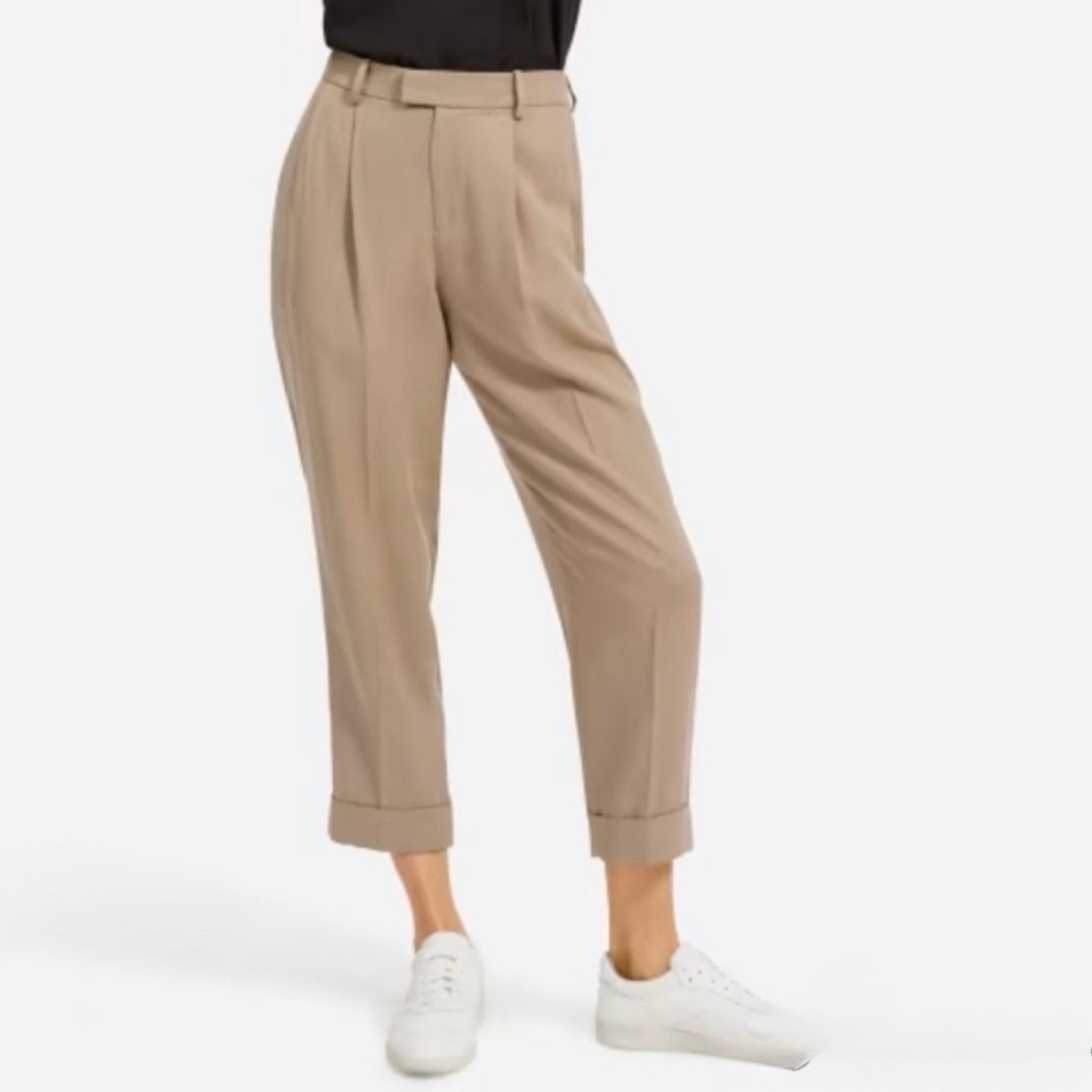 Everlane Put Together Pleat Canvas Pant in Taupe, size 6